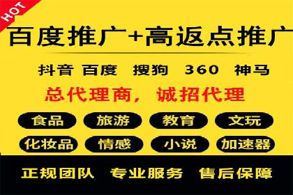 SEM代理案例：揭秘成功背后的秘密